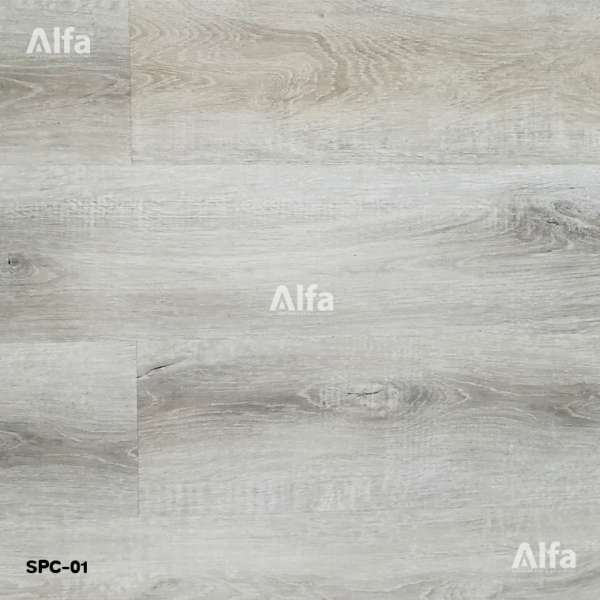 AF-SPC 01 0