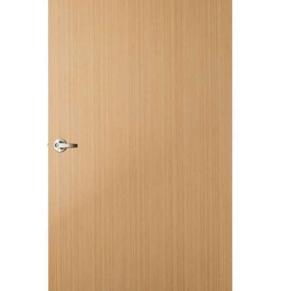 Veneer Door V19 0
