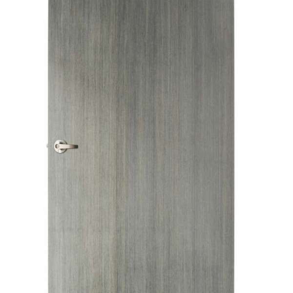 Veneer Door V21 0