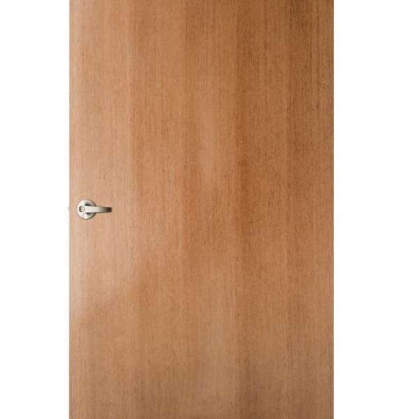 Veneer Door V17 0