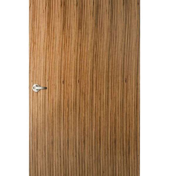 Veneer Door V22 0