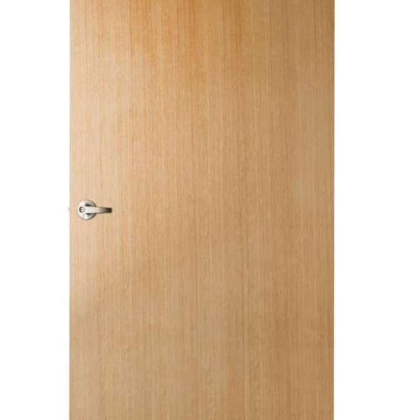 Veneer Door V15 0